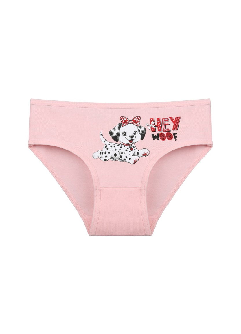 Donella 4171PB55 Assorted 10-Pack Girls' Briefs — Istanbul wholesale supplier
