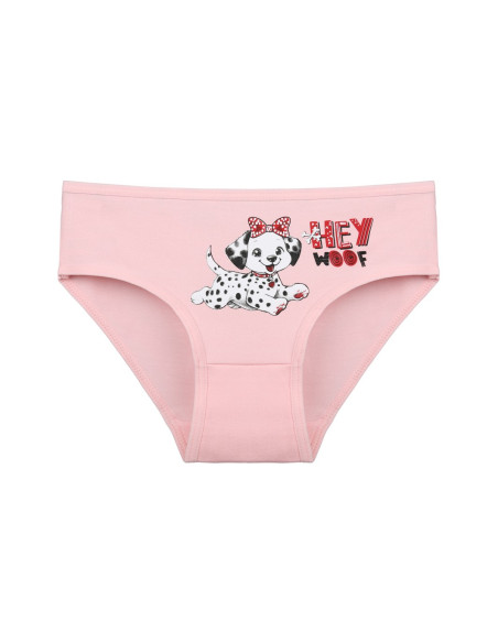 Donella 4171PB55 Assorted 10-Pack Girls' Briefs — Istanbul wholesale supplier