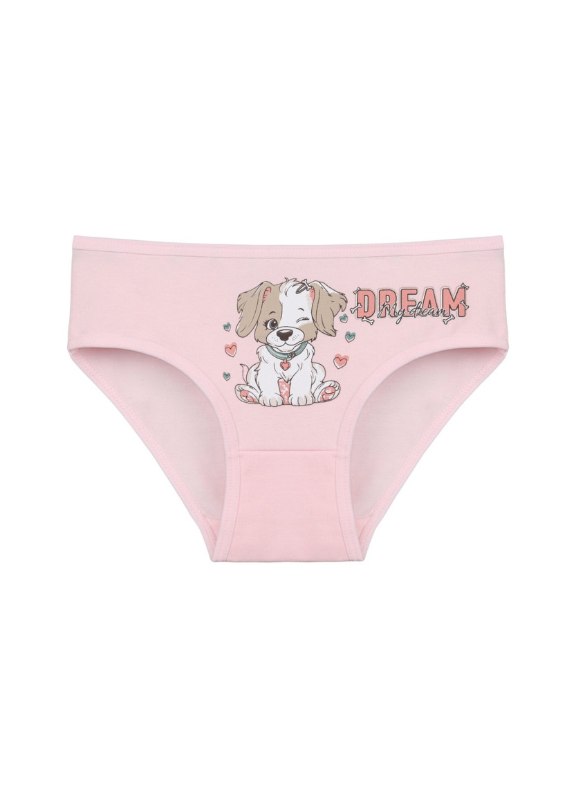 Donella 4171PB58 Assorted 10-Pack Girls' Briefs — wholesale from Turkey