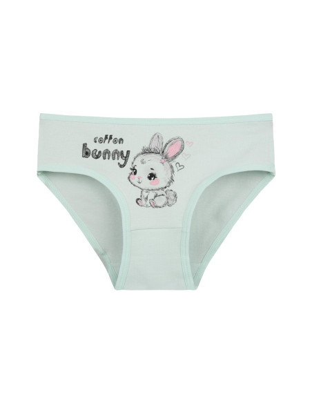 Donella 4171PB62 Assorted 10-Pack Girls' Briefs — direct Turkish factory supply