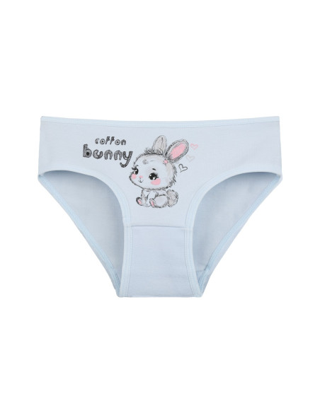 Donella 4171PB62 Assorted 10-Pack Girls' Briefs — Turkish textile wholesale