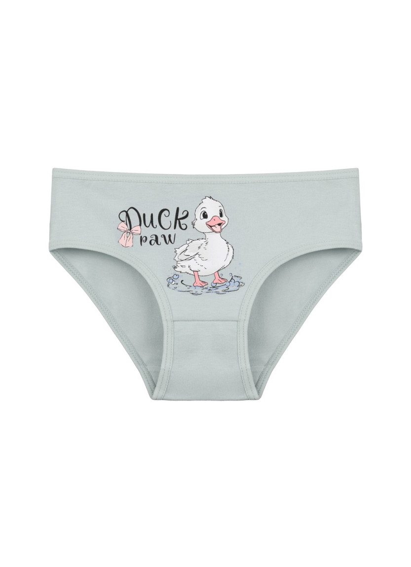 Donella 4171PB63 Assorted 10-Pack Girls' Briefs — wholesale for boutiques