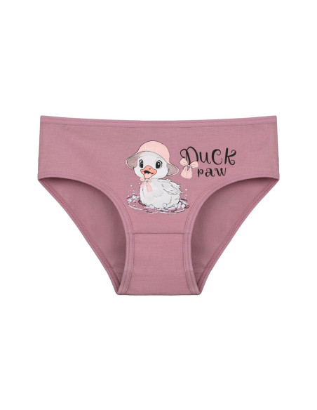 Donella 4171PB63 Assorted 10-Pack Girls' Briefs — Istanbul wholesale supplier