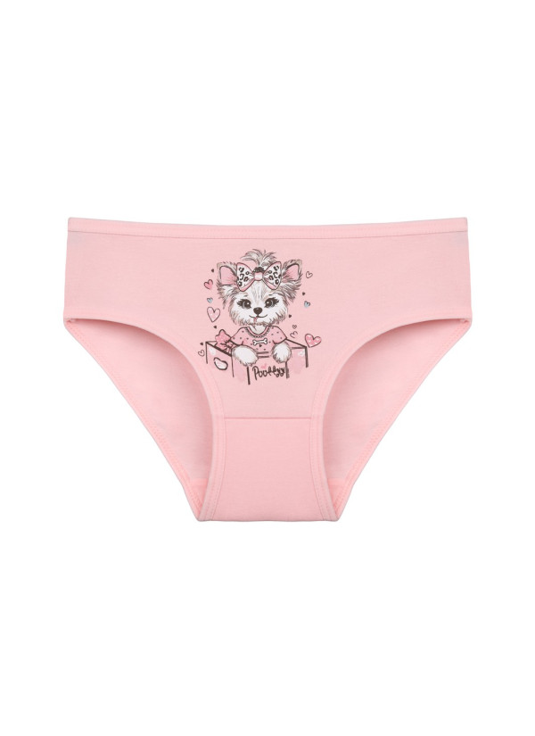 Donella 4171PB65 Assorted 10-Pack Girls' Briefs — Turkey wholesale collection 2