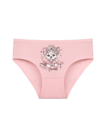 Donella 4171PB65 Assorted 10-Pack Girls' Briefs — Turkish factory wholesale