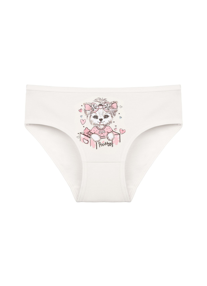 Donella 4171PB65 Assorted 10-Pack Girls' Briefs — wholesale for boutiques