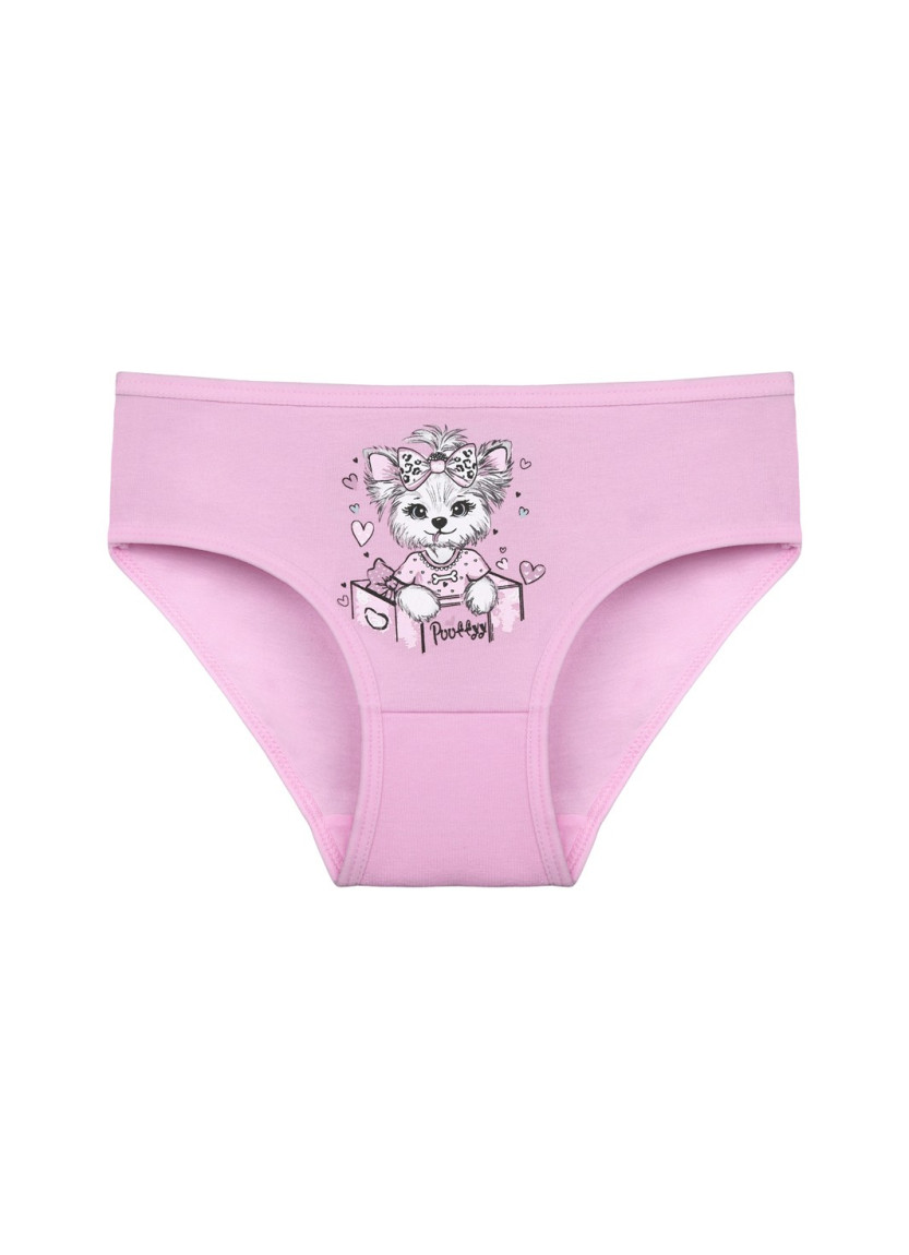 Donella 4171PB65 Assorted 10-Pack Girls' Briefs — Turkish factory wholesale