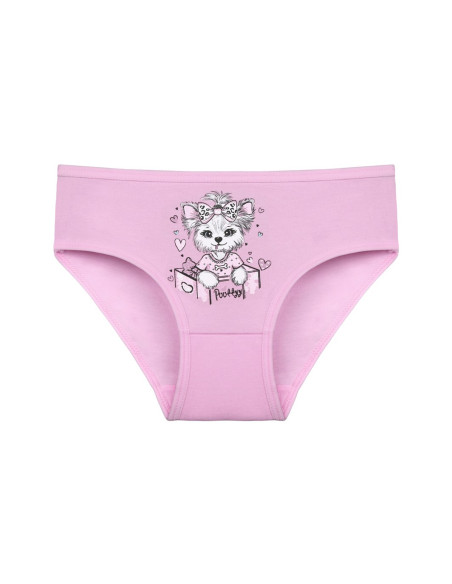 Donella 4171PB65 Assorted 10-Pack Girls' Briefs — Turkish factory wholesale