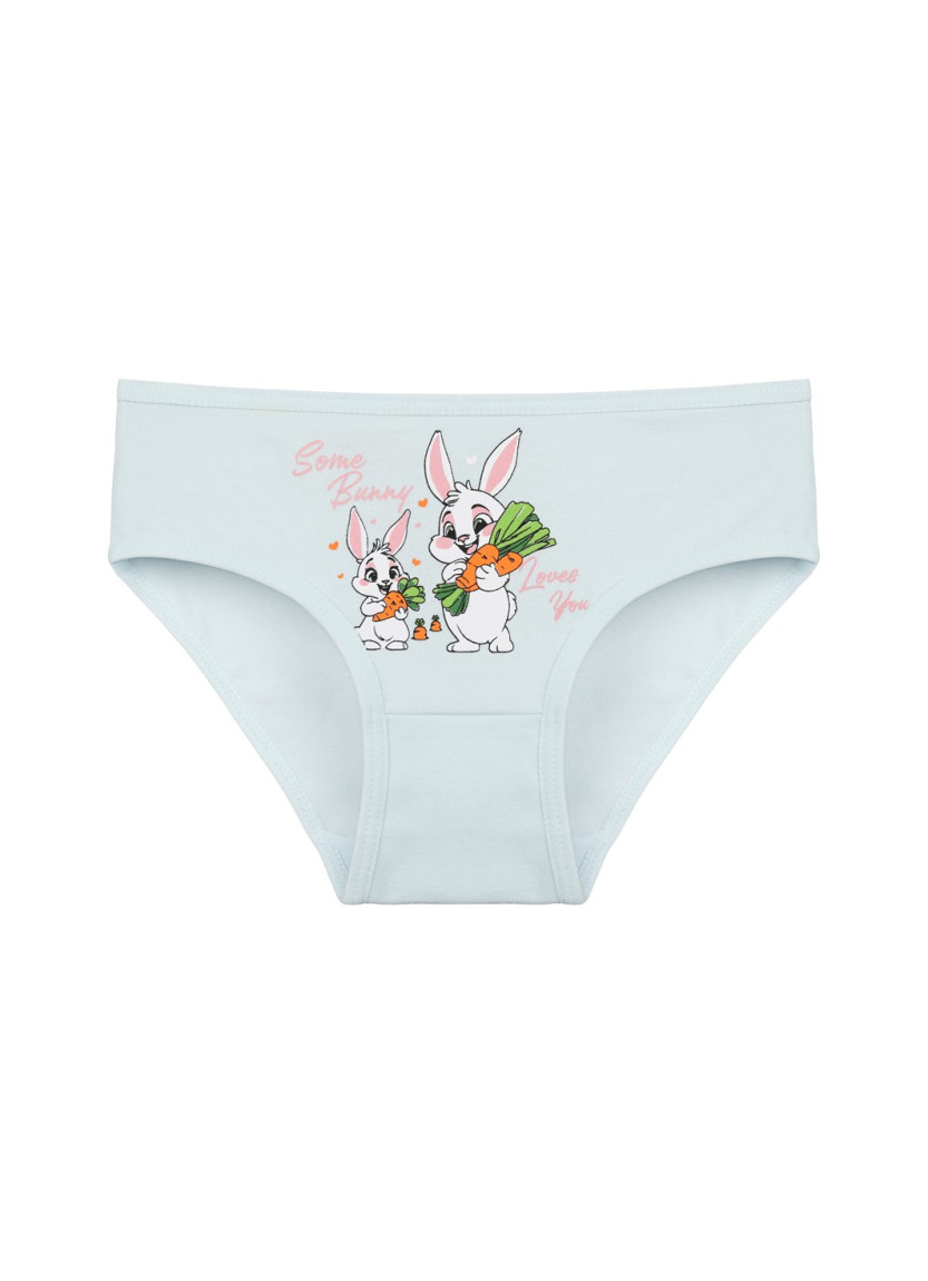 Donella 4171PB67 Assorted 10-Pack Girls' Briefs — wholesale from Turkey
