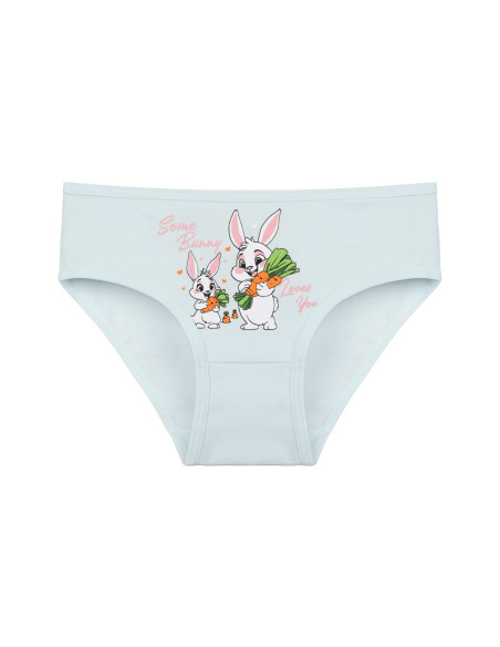 Donella 4171PB67 Assorted 10-Pack Girls' Briefs — wholesale from Turkey