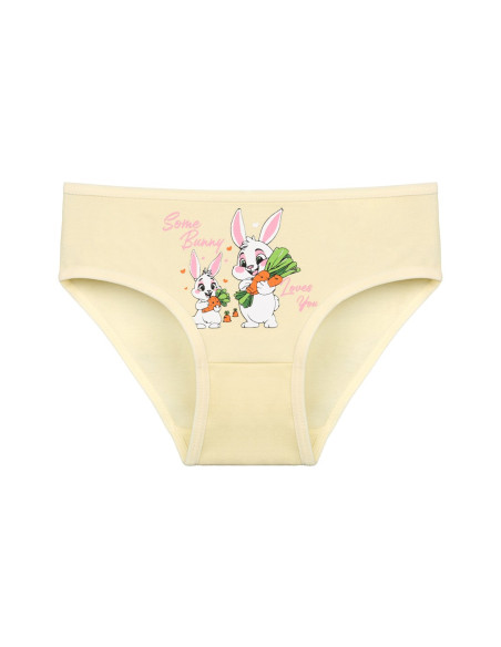 Donella 4171PB67 Assorted 10-Pack Girls' Briefs — Turkish textile wholesale