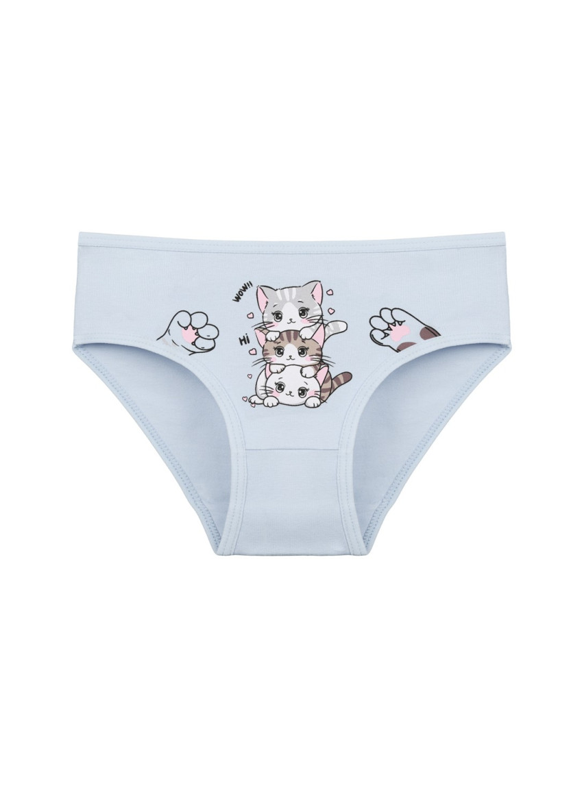 Donella 4171PB68 Assorted 10-Pack Girls' Briefs — wholesale for boutiques