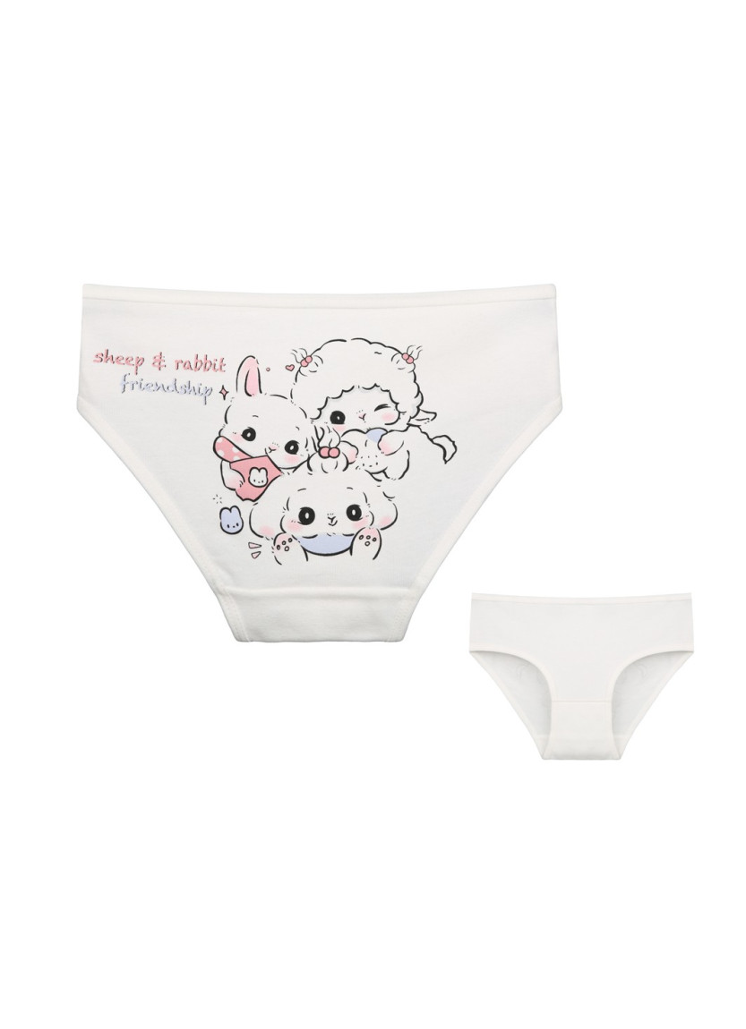 Donella 4171PB70 Assorted 10-Pack Girls' Briefs — direct Turkish factory supply