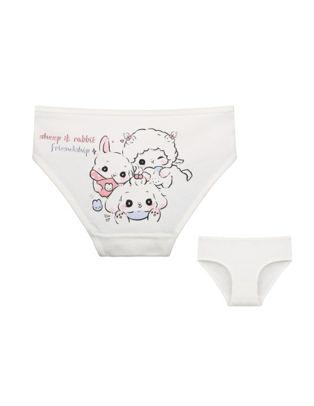 Donella 4171PB70 Assorted 10-Pack Girls' Briefs — direct Turkish factory supply