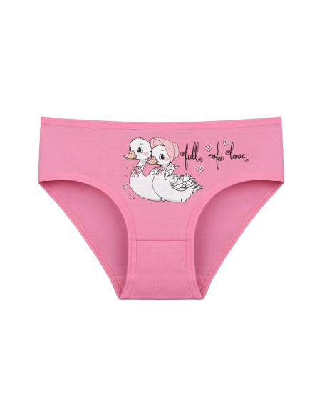 Donella 4171PB71 Assorted 10-Pack Girls' Briefs — factory-direct from Turkey