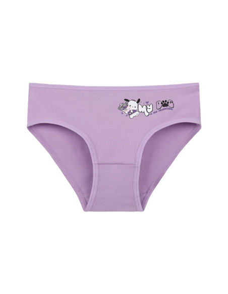 Donella 4171PB76 Assorted 10-Pack Girls' Briefs — wholesale for boutiques