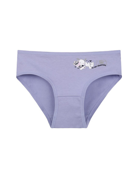 Donella 4171PB76 Assorted 10-Pack Girls' Briefs — Turkish factory wholesale