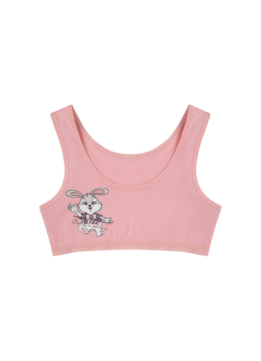 Donella 4571PB44 Assorted 10-Pack Bra — wholesale from Turkey