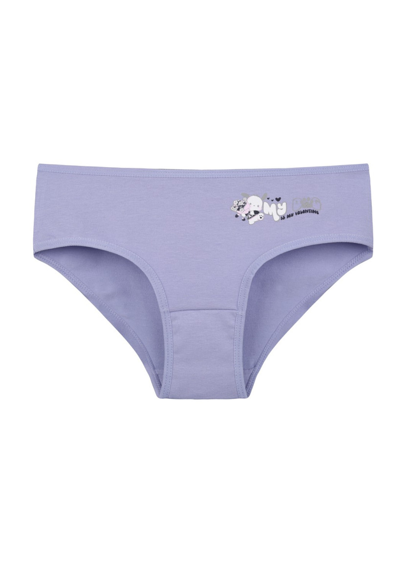 Donella 5071PB76 Assorted 10-Pack Girls' Briefs — Istanbul wholesale supplier