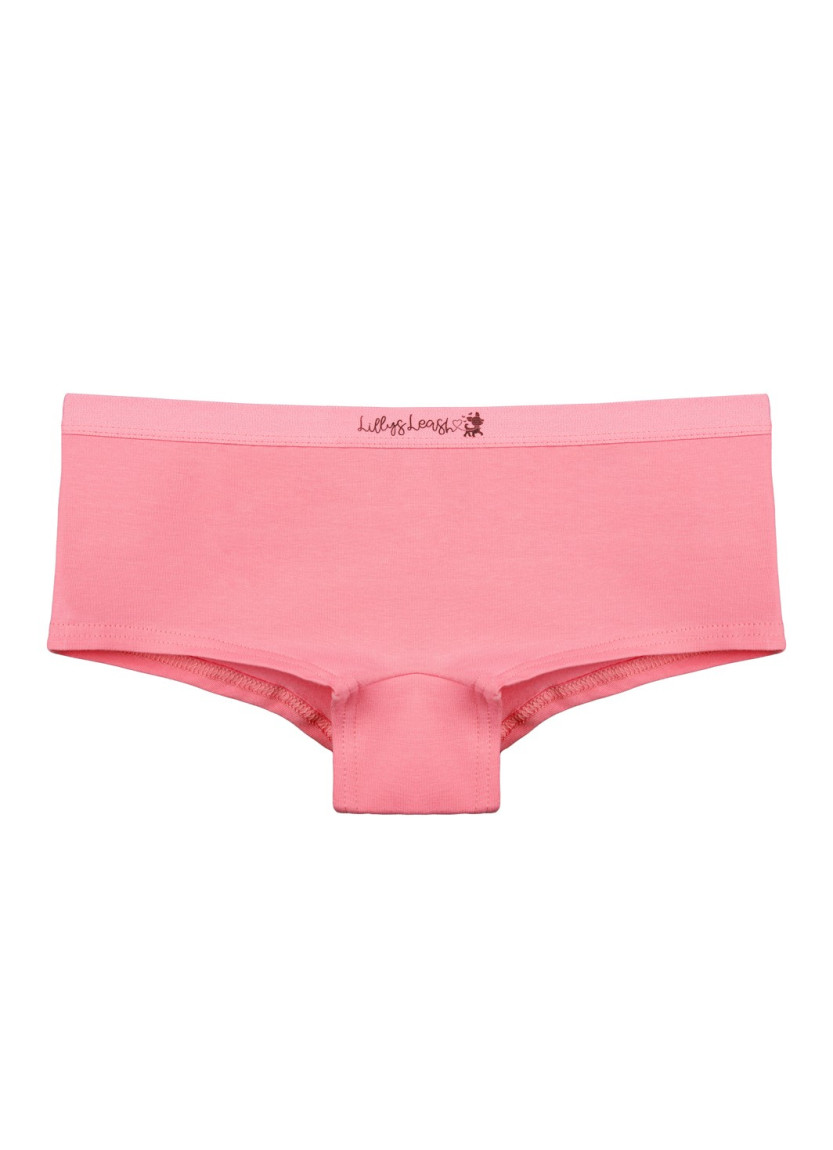 Donella 5771PB74 Assorted 10-Pack Girls' Briefs — Turkish textile wholesale