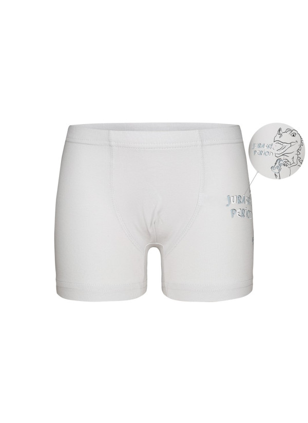 Donella 7571PB12 Оптом Турция Фабрика Трусы Боксеры для Мальчиков Boxer (Ассорти) 10 шт/уп Donella 7571PB12 Купить Оптом с Ту... 2