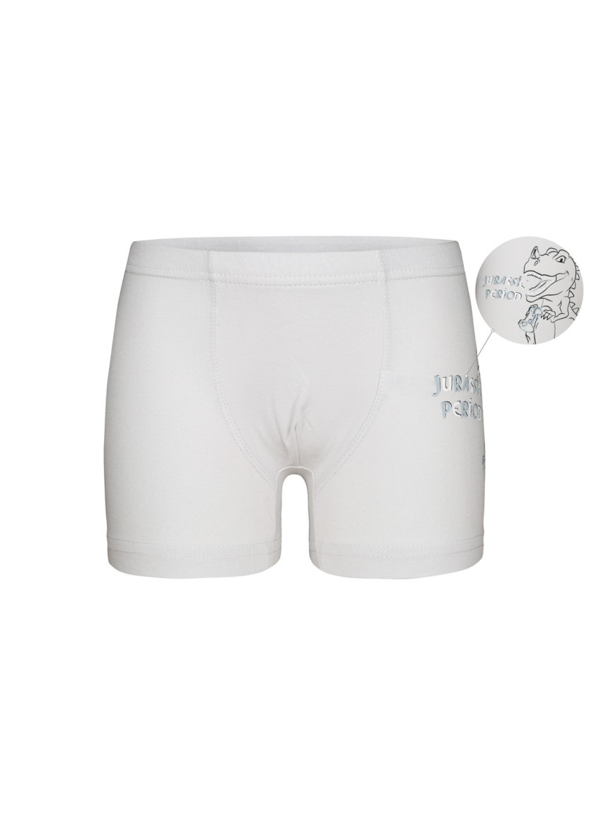 Donella 7571PB12 Оптом Турция Фабрика Трусы Боксеры для Мальчиков Boxer (Ассорти) 10 шт/уп Donella 7571PB12 Купить Оптом с Ту...