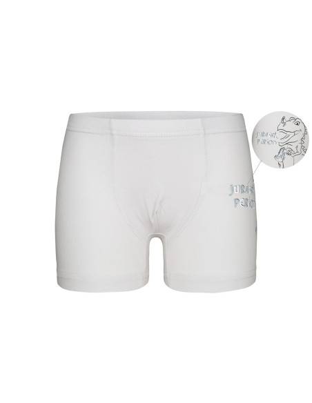 Donella 7571PB12 Оптом Турция Фабрика Трусы Боксеры для Мальчиков Boxer (Ассорти) 10 шт/уп Donella 7571PB12 Купить Оптом с Ту...