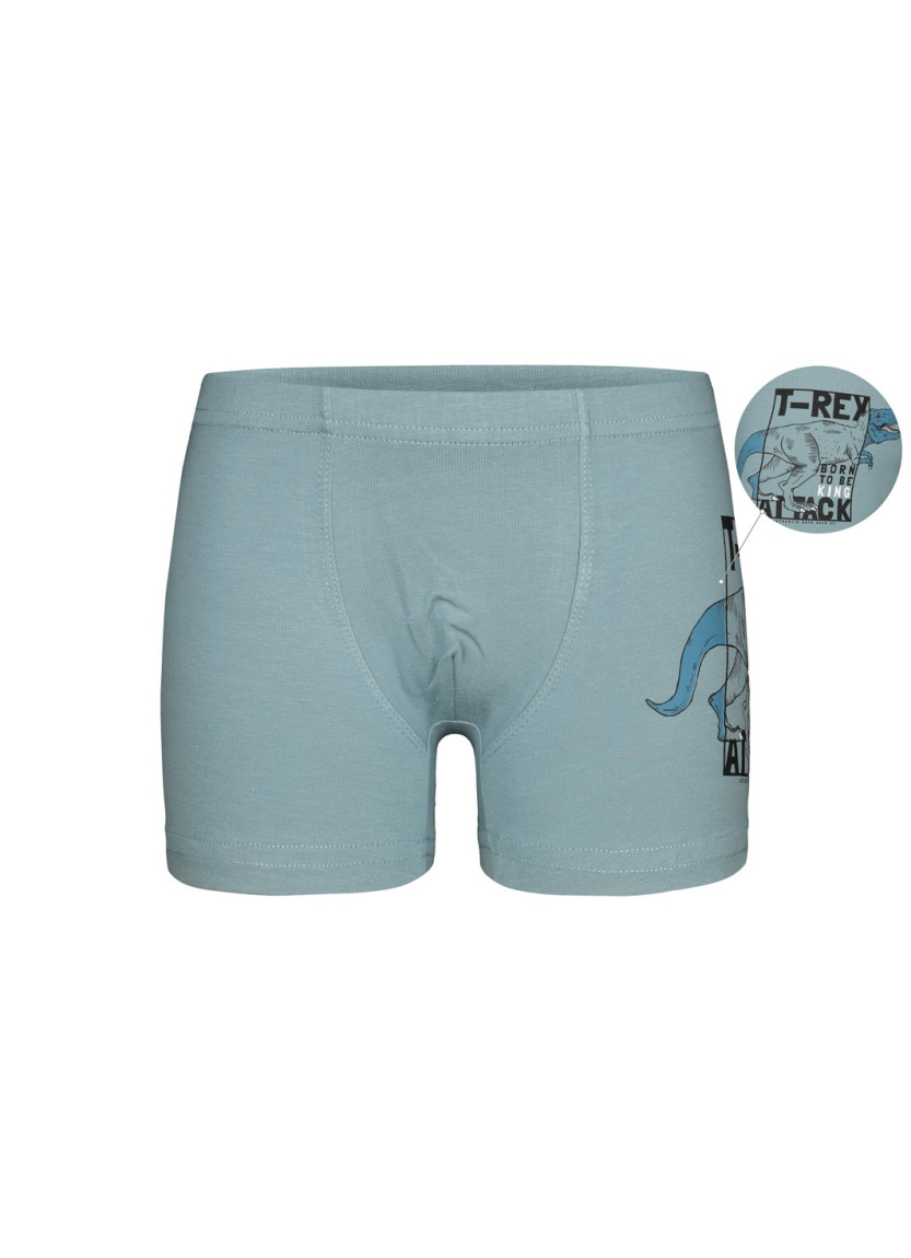 Donella 7571PB12 Оптом Турция Фабрика Трусы Боксеры для Мальчиков Boxer (Ассорти) 10 шт/уп Donella 7571PB12 Купить Оптом с Ту...