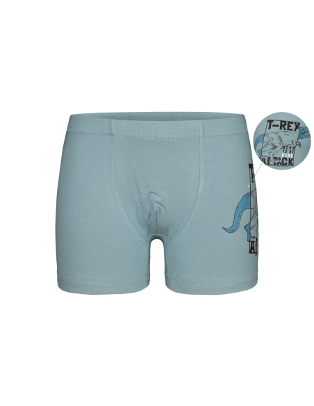 Donella 7571PB12 Оптом Турция Фабрика Трусы Боксеры для Мальчиков Boxer (Ассорти) 10 шт/уп Donella 7571PB12 Купить Оптом с Ту...