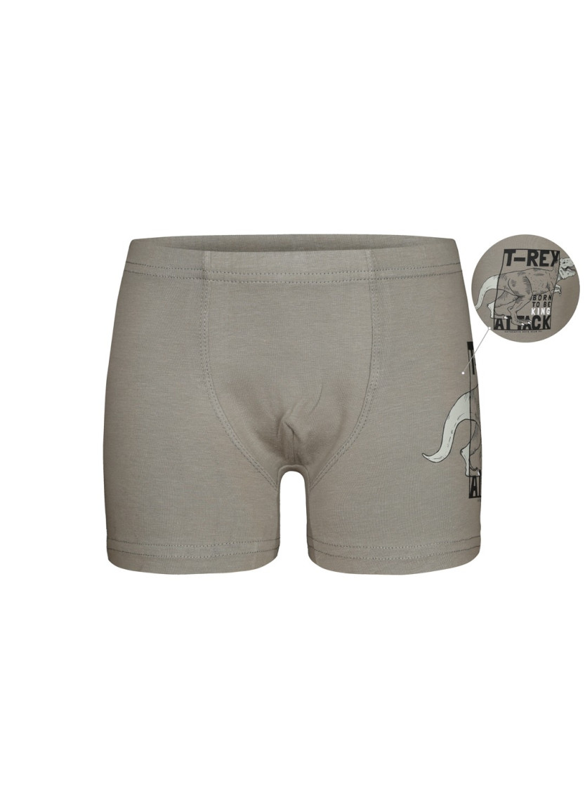 Donella 7571PB12 Оптом Турция Фабрика Трусы Боксеры для Мальчиков Boxer (Ассорти) 10 шт/уп Donella 7571PB12 Купить Оптом с Ту...