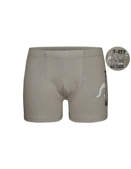 Donella 7571PB12 Оптом Турция Фабрика Трусы Боксеры для Мальчиков Boxer (Ассорти) 10 шт/уп Donella 7571PB12 Купить Оптом с Ту...