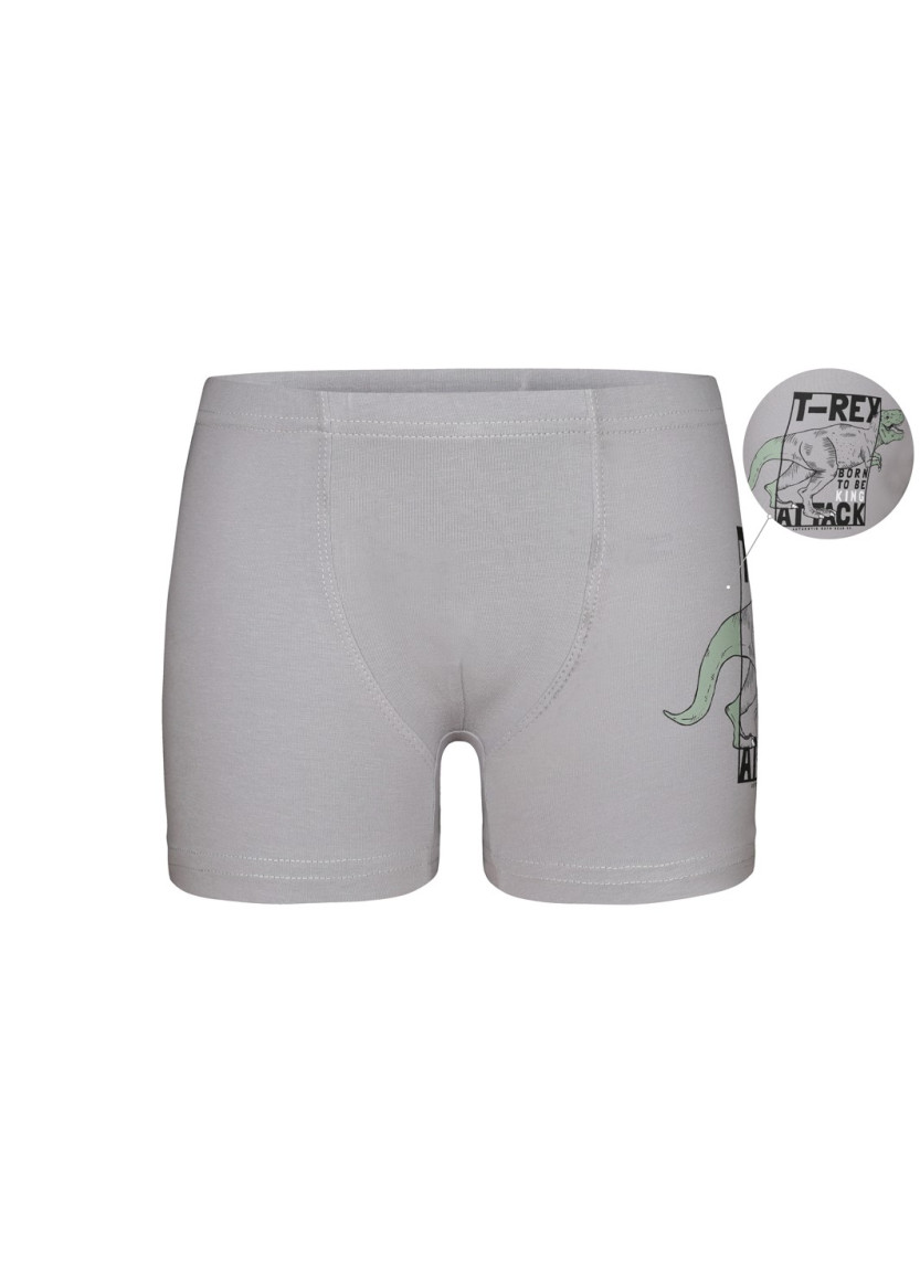 Donella 7571PB12 Оптом Турция Фабрика Трусы Боксеры для Мальчиков Boxer (Ассорти) 10 шт/уп Donella 7571PB12 Купить Оптом с Ту...