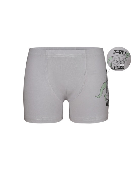 Donella 7571PB12 Оптом Турция Фабрика Трусы Боксеры для Мальчиков Boxer (Ассорти) 10 шт/уп Donella 7571PB12 Купить Оптом с Ту...