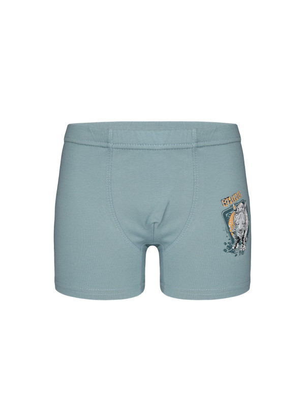 Donella 7571PB20 Оптом Турция Фабрика Трусы Боксеры для Мальчиков Boxer (Ассорти) 10 шт/уп Donella 7571PB20 Купить Оптом с Ту... 2