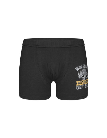 Donella 7571PB20 Оптом Турция Фабрика Трусы Боксеры для Мальчиков Boxer (Ассорти) 10 шт/уп Donella 7571PB20 Купить Оптом с Ту...