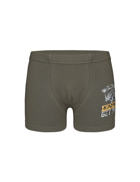 Donella 7571PB20 Оптом Турция Фабрика Трусы Боксеры для Мальчиков Boxer (Ассорти) 10 шт/уп Donella 7571PB20 Купить Оптом с Ту...