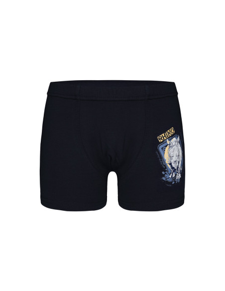 Donella 7571PB20 Оптом Турция Фабрика Трусы Боксеры для Мальчиков Boxer (Ассорти) 10 шт/уп Donella 7571PB20 Купить Оптом с Ту...