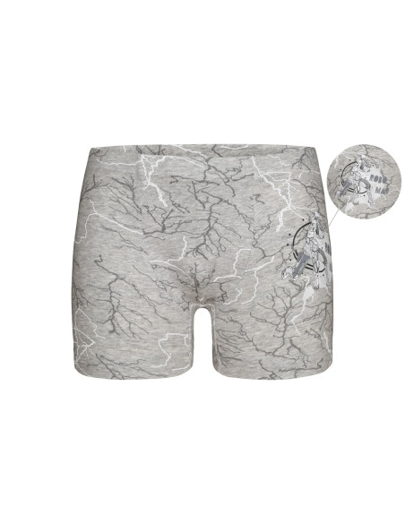Donella 7581B2 Assorted 10-Pack Boys' Boxer Briefs — wholesale from Turkey