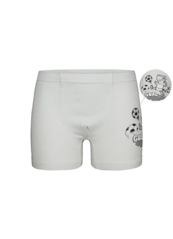 Donella 7581B7 Assorted 10-Pack Boys' Boxer Briefs — Turkey wholesale collection 2