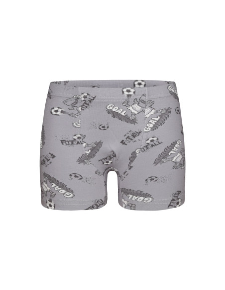 Donella 7581B7 Assorted 10-Pack Boys' Boxer Briefs — Istanbul wholesale supplier