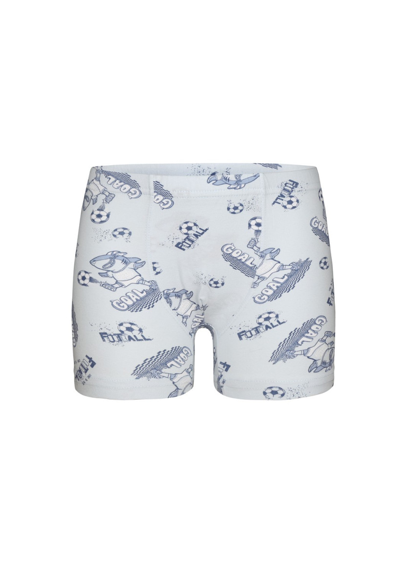 Donella 7581B7 Assorted 10-Pack Boys' Boxer Briefs — Turkey wholesale collection