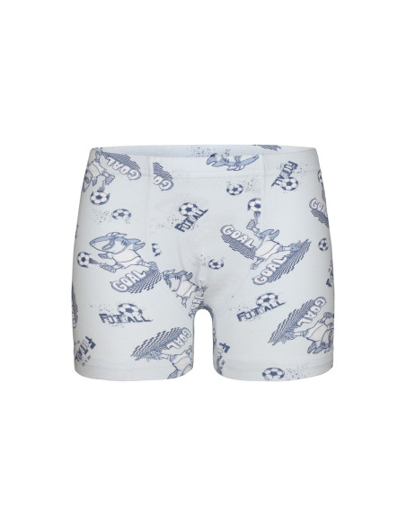 Donella 7581B7 Assorted 10-Pack Boys' Boxer Briefs — Turkey wholesale collection