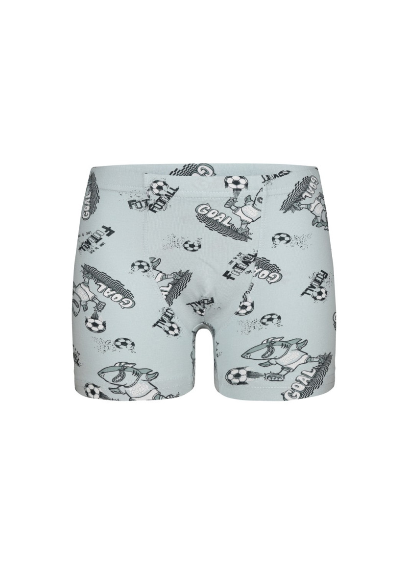 Donella 7581B7 Assorted 10-Pack Boys' Boxer Briefs — Turkish factory wholesale