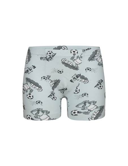 Donella 7581B7 Assorted 10-Pack Boys' Boxer Briefs — Turkish factory wholesale