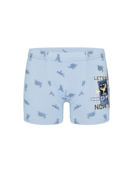 Donella 7581B12 Assorted 10-Pack Boys' Boxer Briefs — Turkey wholesale collection