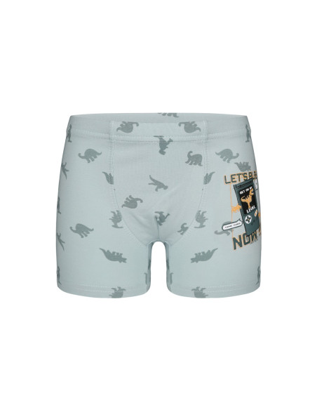 Трусы Боксеры для Мальчиков Boxer (Ассорти) 10 шт/уп Donella 7581B12 — оптом от турецкой фабрики