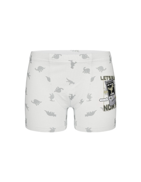 Трусы Боксеры для Мальчиков Boxer (Ассорти) 10 шт/уп Donella 7581B12 — купить оптом со Стамбула