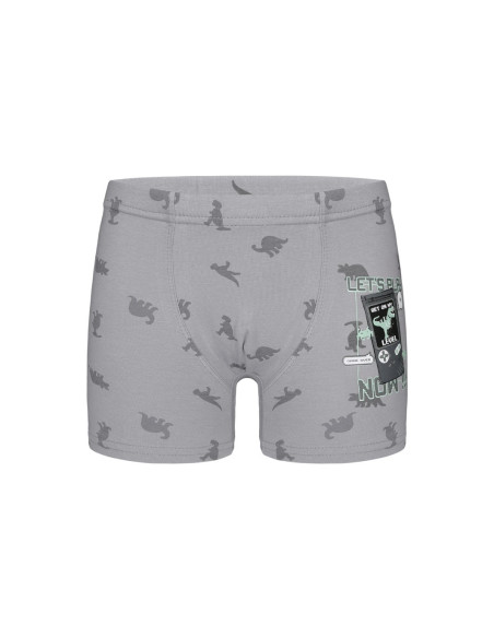 Трусы Боксеры для Мальчиков Boxer (Ассорти) 10 шт/уп Donella 7581B12 — прямые поставки из Турции