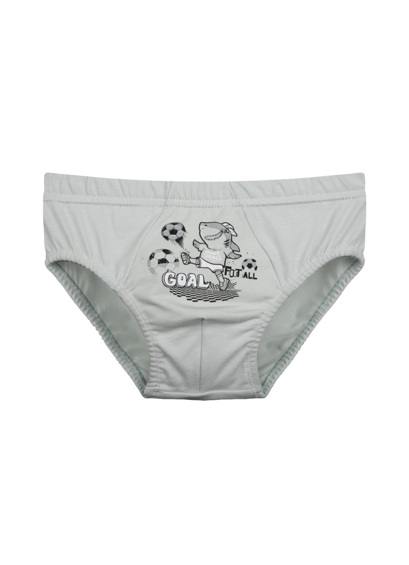 Donella 7681B7 Assorted 10-Pack Women's Briefs — wholesale for boutiques