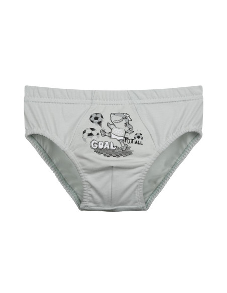 Donella 7681B7 Assorted 10-Pack Women's Briefs — wholesale for boutiques